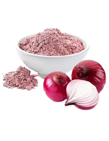 Onion Dried Powder